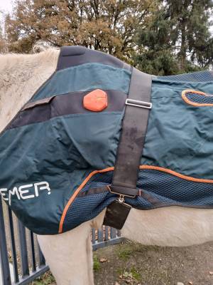 BEMER Horse Set