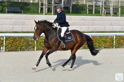 Top jument &agrave; vendre 