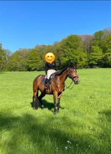  apple dream - jument de balade trotteuse