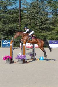 Jument de 9ans par eldorado 