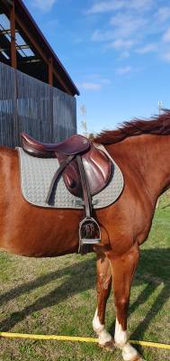 Sella da cross eric thomas  17.5