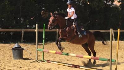 KILI Selle Français Origine 21 ans 1m60 