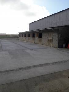 Location boxes Ecurie de concours 50km Fontainebleau.