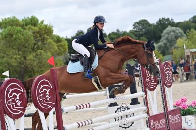 Yegua silla francés en venta 2011 alazán