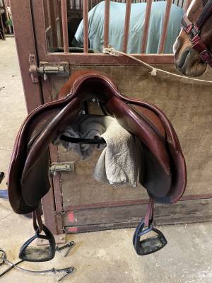 Sella da salto ostacoli cwd se02  17.5