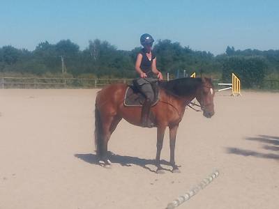 Jument onc loisirs enseignement rando 