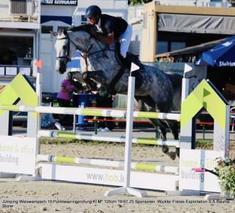 Belle grande jument 7 ans