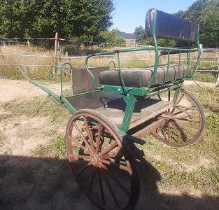 Donne Charrette Attelage 2 roues