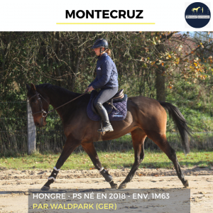 Montecruz - ps - 7 ans