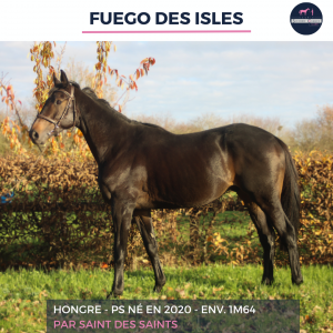 Fuego des isles - ps - 5 ans