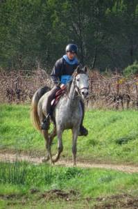 Vente cheval endurance