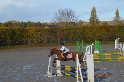 Castrone welsh poney (sezione c) in vendita 2016 sauro