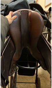 Selle antares modèle contact 16,5’ havane