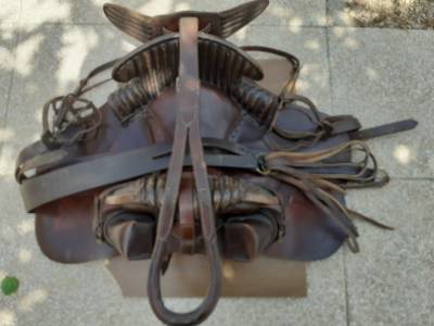 Sella camarghese  européenne 18.5