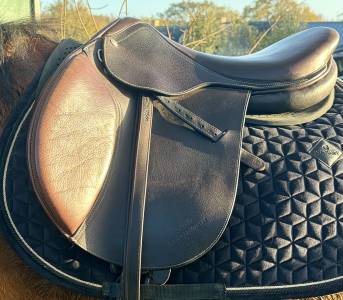 Sella mista  colbert brother  17.5