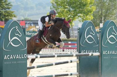 Pony femmina del 2015, cat. 110