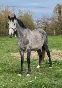 Male 3 ans sf par catchar mail