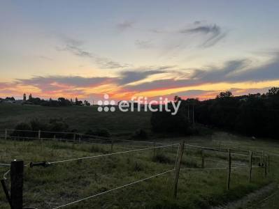 Proprietà equestre in vendita gers