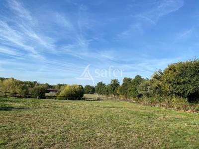 Propriété equestre pays d'auge