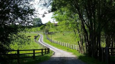 Idéal élevage ou entraînement : domaine équestre 70 ha