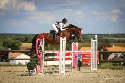 Auto-entrepreneur services &eacute;quins 