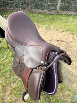 Magnifique selle mixte 