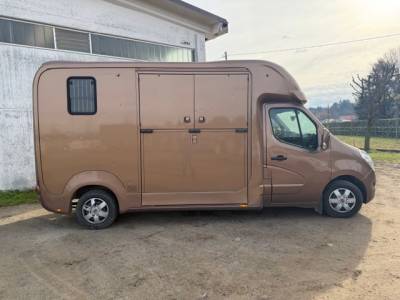 Van trasporto cavalli 