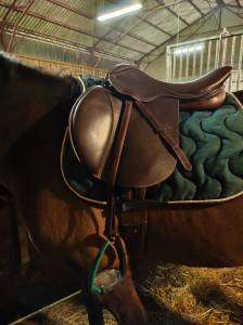 Sella mista eric thomas  17.5