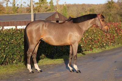 Lisbonne du maizeret