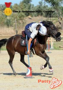 Pony per pony games - 8 anni - alta 127 cm- femmina 