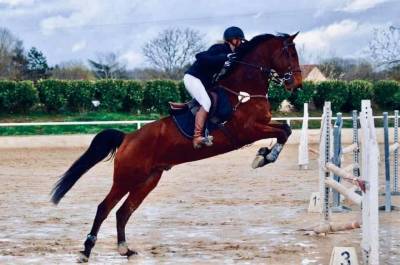 Monitrice/Cavaliere motiv&eacute;e 