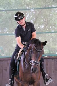 Talentueux hongre oldenbourg 