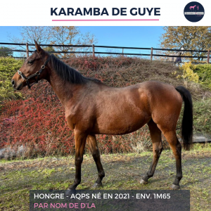 Karamba de guye - aqps - 4 ans