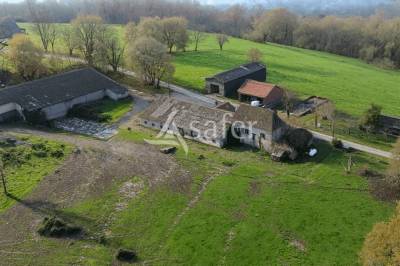 Sheep farm  dordogne