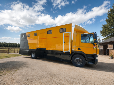 Camion per cavalli daf  2011 occasione