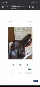 Selle meyer 17 veau 