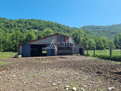 Azienda agricola in vendita ariège