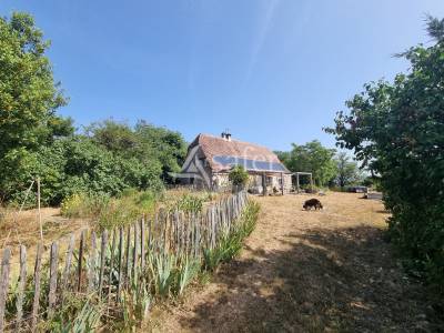 Azienda agricola in vendita lot