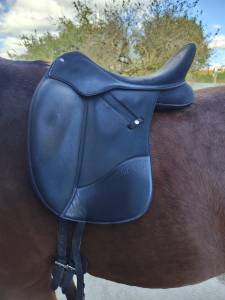 Sella da dressage wintec  17.5