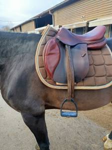 Selle cwd 18 pouce quartier 4 c 