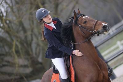 Mare French Saddle Pony Part-Livery 2013 Bay