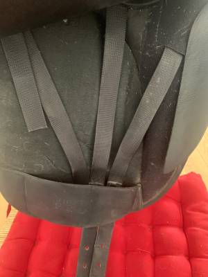 Selle de dressage wintec