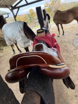 Sella da salto ostacoli cwd  17.5