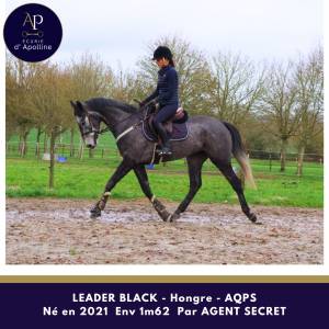 Aqps 4 ans locomotion plaisante modèle plaisant