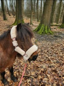 Demi pension shetland 