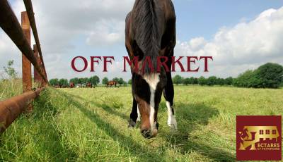 Domaine équestre + de 30 hectares