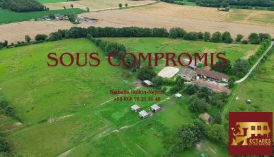 Propriété équestre 14 hectares