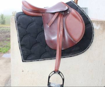 Selle cso équipe avant garde 17