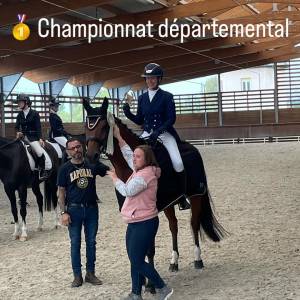 Hongre kwpn- cheval clé en main - 2010