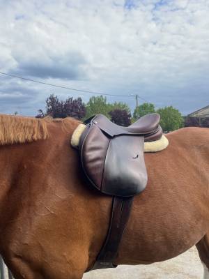 Sella mista childeric  18